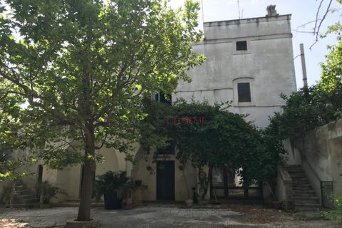 Landejendom i Ostuni, Brindisi, Ostuni - € 11.111.111 | Ref: 276 - foto 2