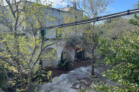 Landejendom i Ostuni, Brindisi, Ostuni - € 11.111.111 | Ref: 276 - foto 20