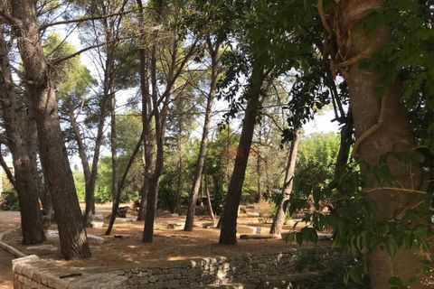 Landejendom i Ostuni, Brindisi, Ostuni - € 11.111.111 | Ref: 276 - foto 4