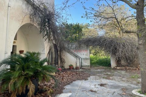 Landejendom i Ostuni, Brindisi, Ostuni - € 11.111.111 | Ref: 276 - foto 6