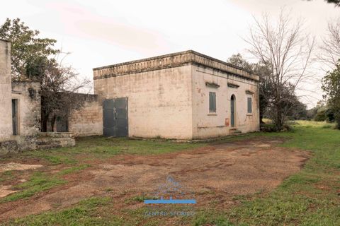 Villa i Ostuni, Brindisi, Ostuni - € 1.200.000 | Ref: 738 - foto 5