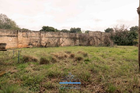 Villa i Ostuni, Brindisi, Ostuni - € 1.200.000 | Ref: 738 - foto 8