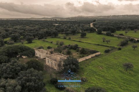 Villa i Ostuni, Brindisi, Ostuni - € 1.200.000 | Ref: 738 - foto 14