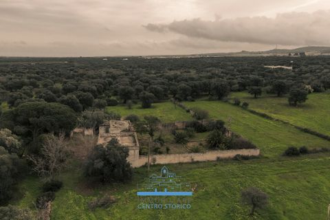 Villa i Ostuni, Brindisi, Ostuni - € 1.200.000 | Ref: 738 - foto 15
