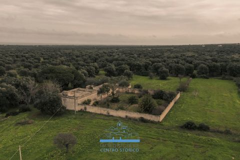 Villa i Ostuni, Brindisi, Ostuni - € 1.200.000 | Ref: 738 - foto 16
