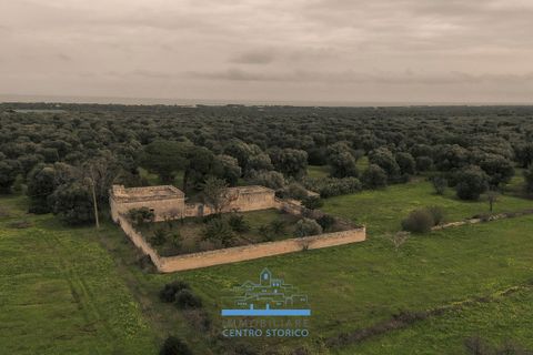 Villa i Ostuni, Brindisi, Ostuni - € 1.200.000 | Ref: 738 - foto 17
