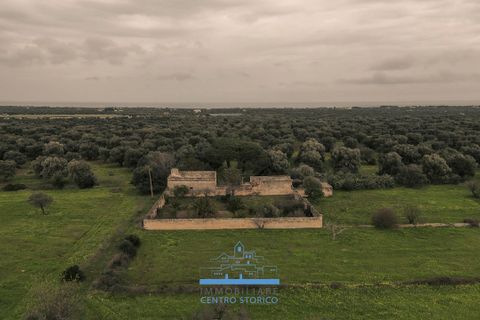 Villa i Ostuni, Brindisi, Ostuni - € 1.200.000 | Ref: 738 - foto 18