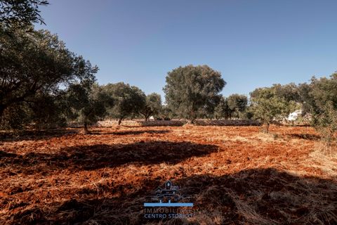Villa i Ostuni, Brindisi, Ostuni - € 165.000 | Ref: 765 - foto 13