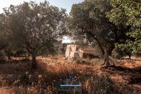 Villa i Ostuni, Brindisi, Ostuni - € 165.000 | Ref: 765 - foto 14