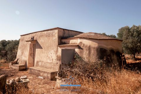 Villa i Ostuni, Brindisi, Ostuni - € 165.000 | Ref: 765 - foto 16