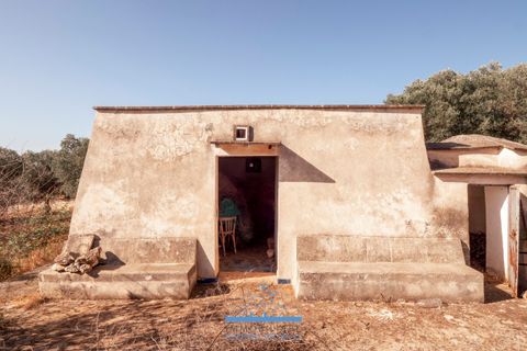Villa i Ostuni, Brindisi, Ostuni - € 165.000 | Ref: 765 - foto 17