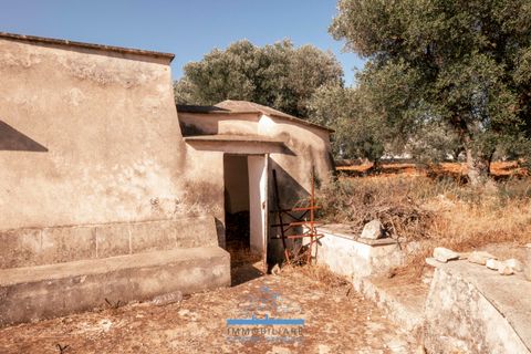 Villa i Ostuni, Brindisi, Ostuni - € 165.000 | Ref: 765 - foto 18
