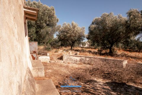 Villa i Ostuni, Brindisi, Ostuni - € 165.000 | Ref: 765 - foto 21