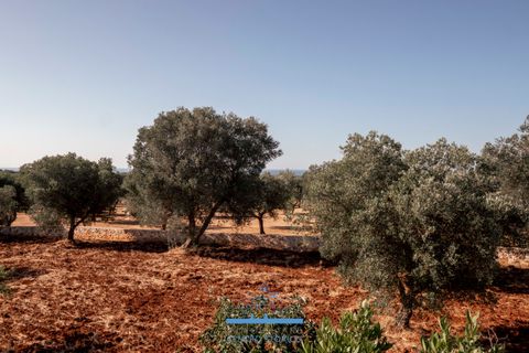 Villa i Ostuni, Brindisi, Ostuni - € 165.000 | Ref: 765 - foto 22