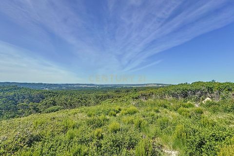 Helårsgrund i Nazare, Leiria, Nazare - € 21.500 | Ref: 1739-01911 - foto 4