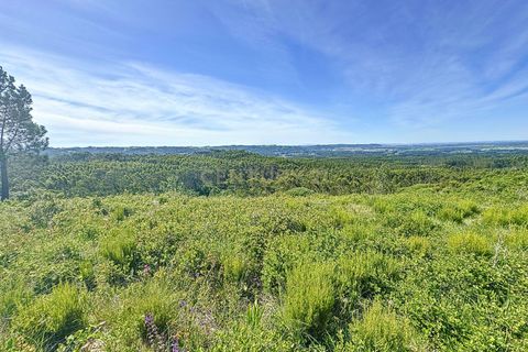 Helårsgrund i Nazare, Leiria, Nazare - € 21.500 | Ref: 1739-01911 - foto 5