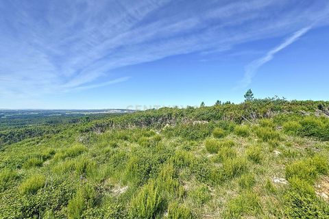 Helårsgrund i Nazare, Leiria, Nazare - € 21.500 | Ref: 1739-01911 - foto 6