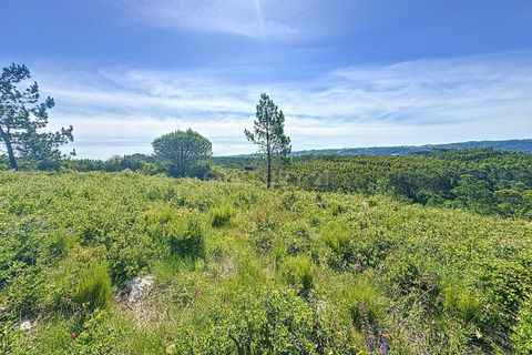 Helårsgrund i Nazare, Leiria, Nazare - € 21.500 | Ref: 1739-01911 - foto 7
