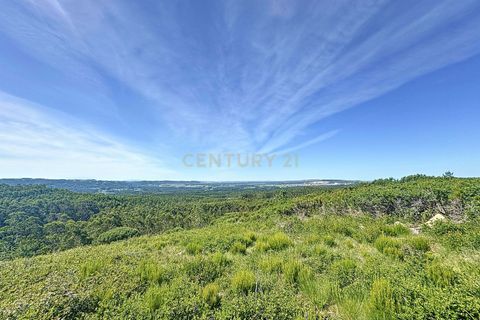 Helårsgrund i Nazare, Leiria, Nazare - € 21.500 | Ref: 1739-01911 - foto 8