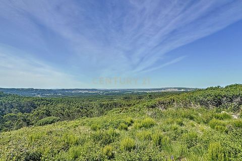 Helårsgrund i Nazare, Leiria, Nazare - € 21.500 | Ref: 1739-01911 - foto 9