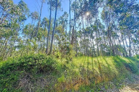 Helårsgrund i Nazare, Leiria, Nazare - € 21.500 | Ref: 1739-01911 - foto 13
