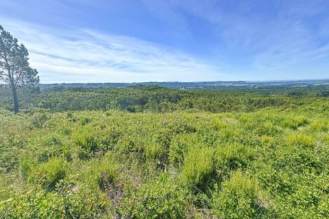 Helårsgrund i Nazare, Leiria, Nazare - € 21.500 | Ref: 1739-01911 - foto 15