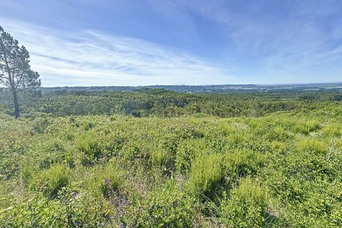 Helårsgrund i Nazare, Leiria, Nazare - € 21.500 | Ref: 1739-01911 - foto 18