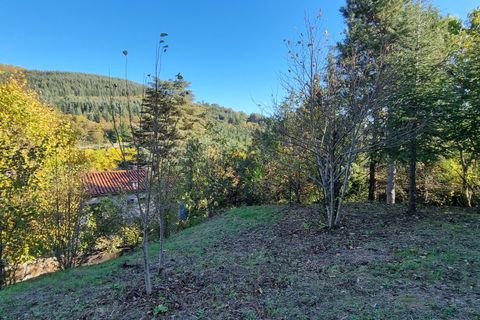 Terra a Aulas, Gard, Aulas - € 65.000 | Ref: 1312 - foto 2