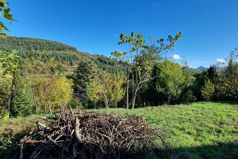 Terra a Aulas, Gard, Aulas - € 65.000 | Ref: 1312 - foto 4