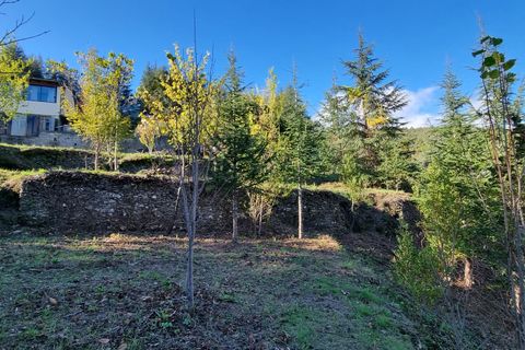 Terra a Aulas, Gard, Aulas - € 65.000 | Ref: 1312 - foto 5