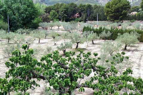Villa i Cocentaina, Alicante, Cocentaina - € 580.000 | Ref: 2953 - foto 47