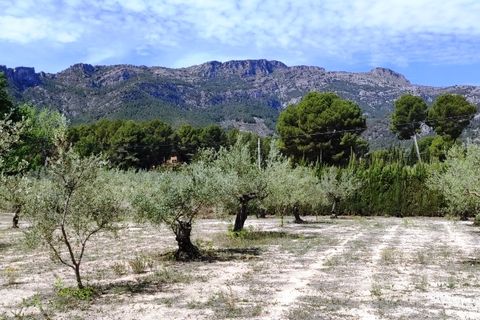 Villa i Cocentaina, Alicante, Cocentaina - € 580.000 | Ref: 2953 - foto 48
