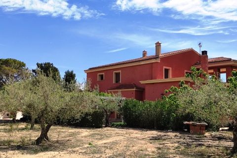 Villa i Cocentaina, Alicante, Cocentaina - € 580.000 | Ref: 2953 - foto 49