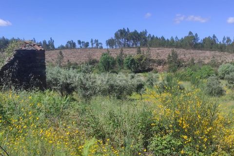 Helårsgrund i Castelo Branco, Castelo Branco, Castelo Branco - € 90.000 | Ref: 255240107 - foto 7