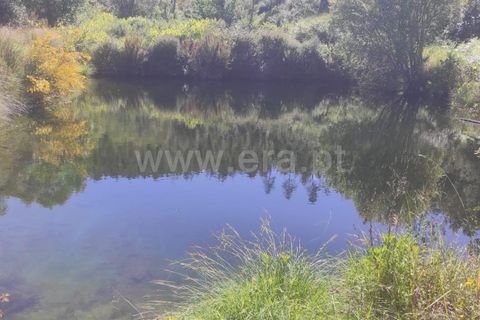 Helårsgrund i Castelo Branco, Castelo Branco, Castelo Branco - € 90.000 | Ref: 255240107 - foto 10
