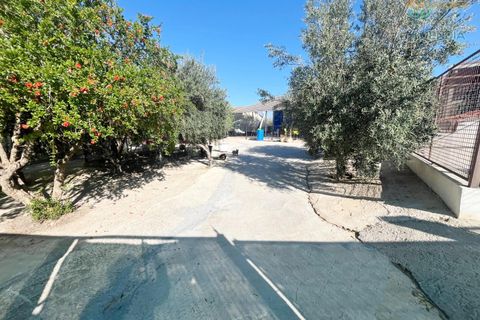Masia a Lorca, Murcia, Lorca - € 380.000 | Ref: 000144/9522 - foto 3