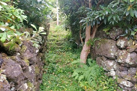 Villa i Sao Roque do Pico, Pico, Sao Roque do Pico - € 64.500 | Ref: 3422361 - foto 12