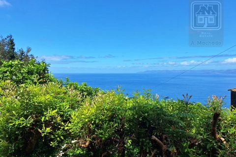 Villa i Sao Roque do Pico, Pico, Sao Roque do Pico - € 64.500 | Ref: 3422361 - foto 2