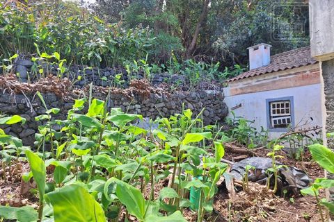 Villa i Sao Roque do Pico, Pico, Sao Roque do Pico - € 64.500 | Ref: 3422361 - foto 9