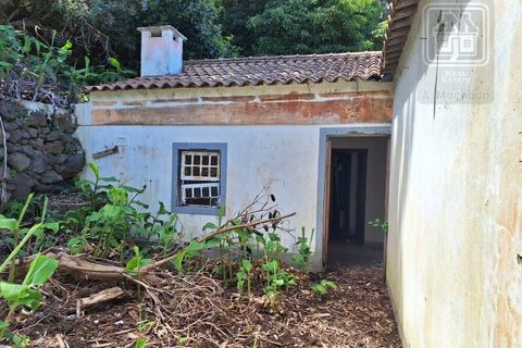 Villa i Sao Roque do Pico, Pico, Sao Roque do Pico - € 64.500 | Ref: 3422361 - foto 10