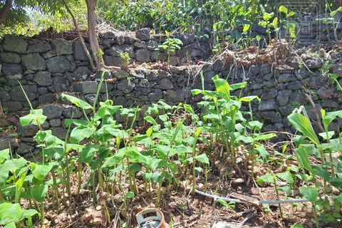 Villa i Sao Roque do Pico, Pico, Sao Roque do Pico - € 64.500 | Ref: 3422361 - foto 14