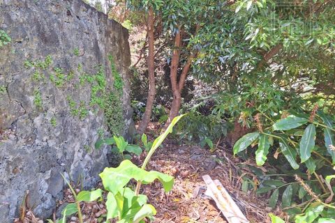 Villa i Sao Roque do Pico, Pico, Sao Roque do Pico - € 64.500 | Ref: 3422361 - foto 15