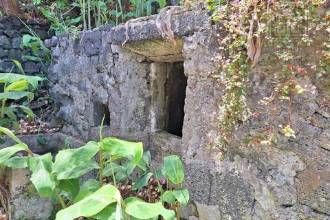 Villa i Sao Roque do Pico, Pico, Sao Roque do Pico - € 64.500 | Ref: 3422361 - foto 16