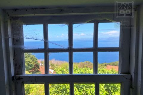 Villa i Sao Roque do Pico, Pico, Sao Roque do Pico - € 64.500 | Ref: 3422361 - foto 21