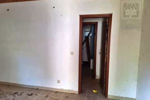 Villa i Sao Roque do Pico, Pico, Sao Roque do Pico - € 64.500 | Ref: 3422361 - foto 24