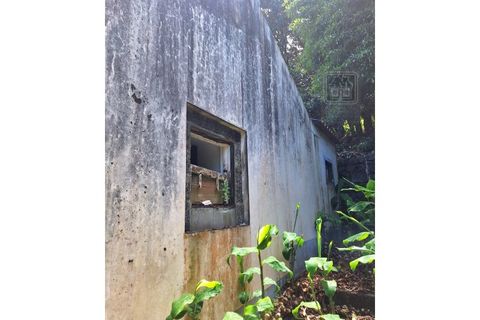 Villa i Sao Roque do Pico, Pico, Sao Roque do Pico - € 64.500 | Ref: 3422361 - foto 29
