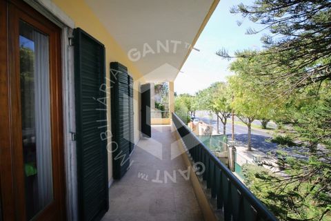 Villa i Alvalade, Setubal, Alvalade - € 2.500.000 | Ref: GT-4356-M - foto 49