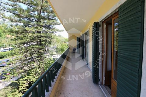Villa i Alvalade, Setubal, Alvalade - € 2.500.000 | Ref: GT-4356-M - foto 50