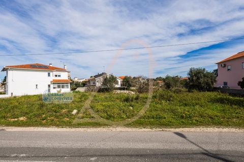 Terra a Fatima, Santarem, Fatima - € 150.000 | Ref: CV11001-199 - foto 2