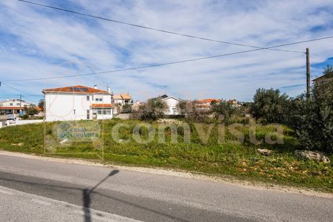 Terra a Fatima, Santarem, Fatima - € 150.000 | Ref: CV11001-199 - foto 3